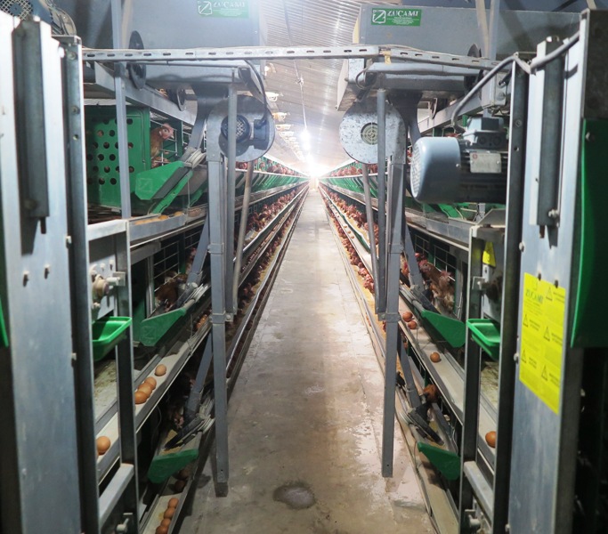 Seconda missione di lavoro della Veterinaria a Tindouf