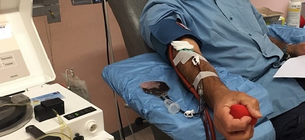 Nella foto un'immagine al Centro trasfusionale di S.M.Annunziata