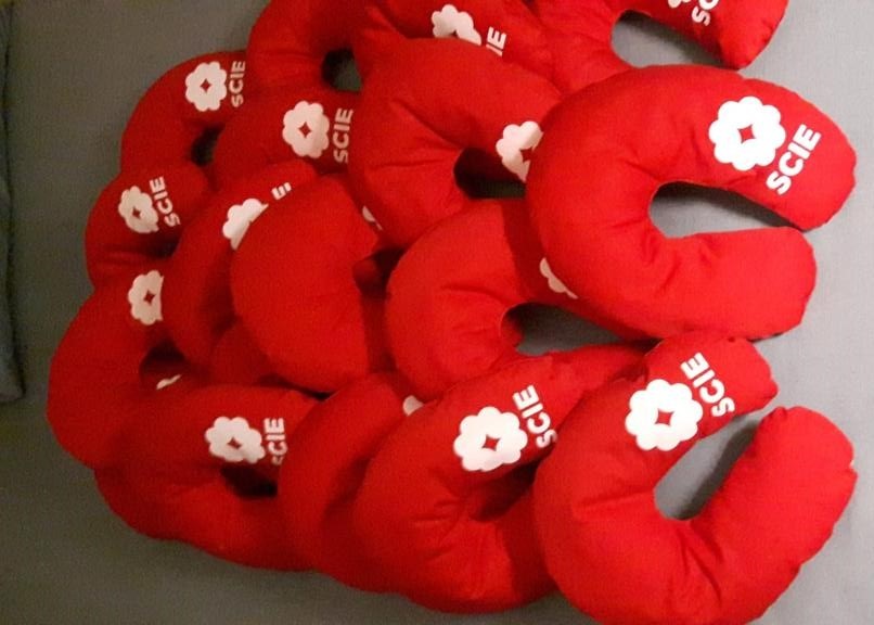 I cuscini donati da SCIE 