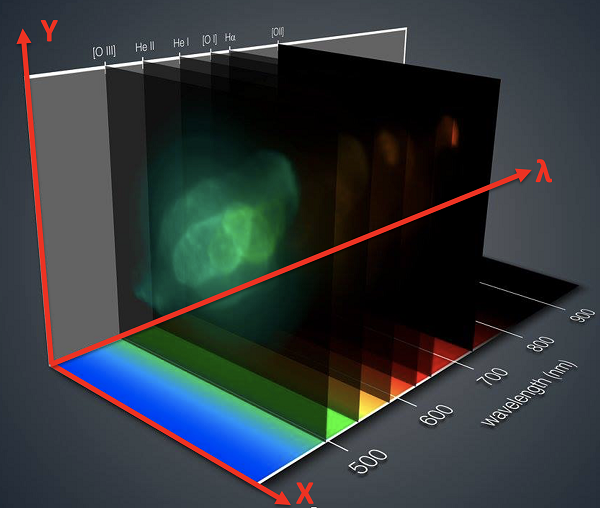 Immagini di una Tac 1