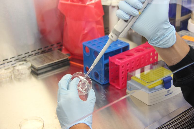 un'immagine di attività di analisi in un laboratorio