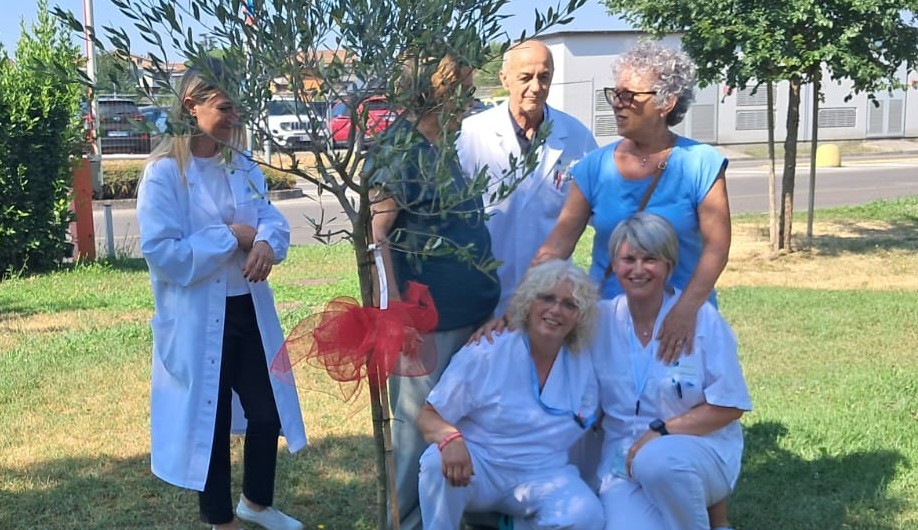 In foto l'ulivo nel giardino