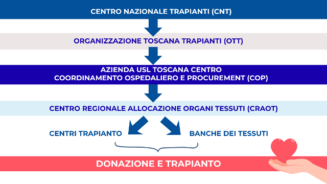 immagine organizzazione trapianti