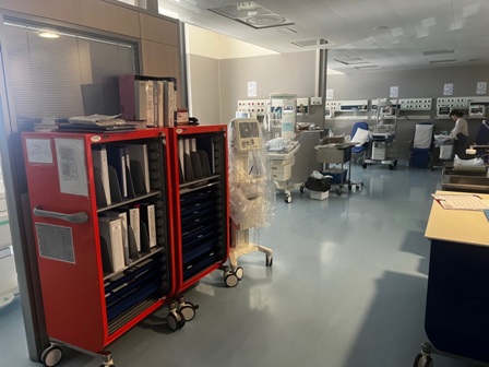 Terapia Intensiva Neonatalewp